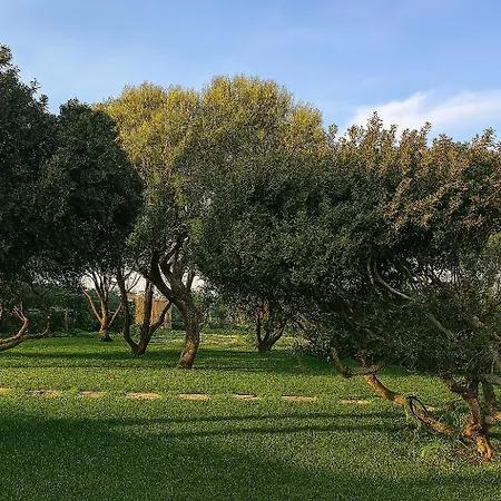 Seaside Elegance 50m From The Ольбія