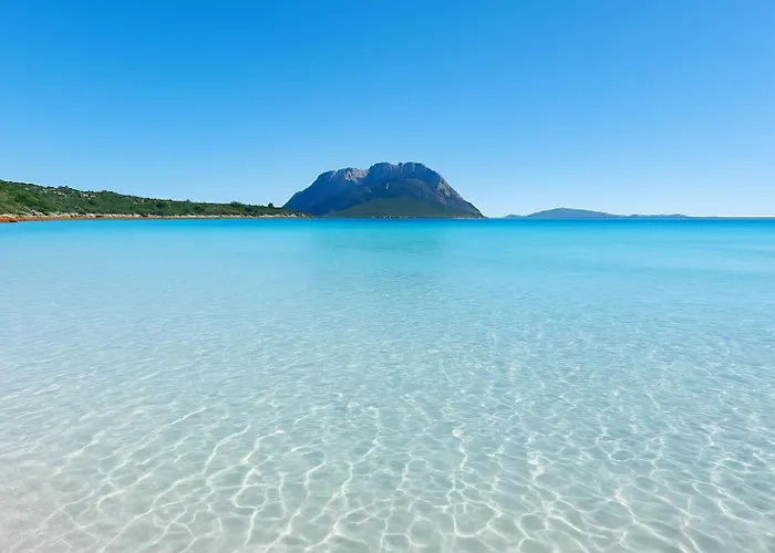 Seaside Elegance 50m From The *