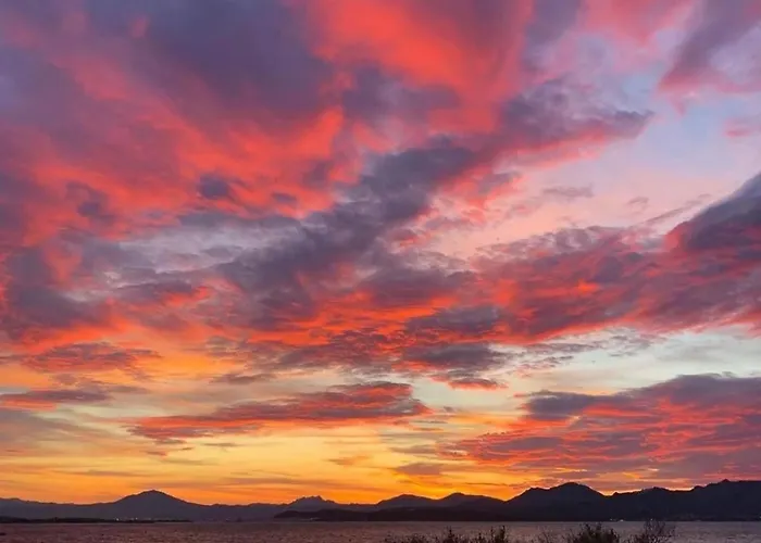 Seaside Elegance 50m From The * Ольбія