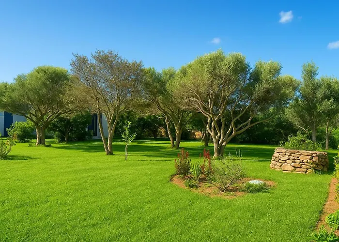 Seaside Elegance 50m From The Будинок відпочинку Ольбія