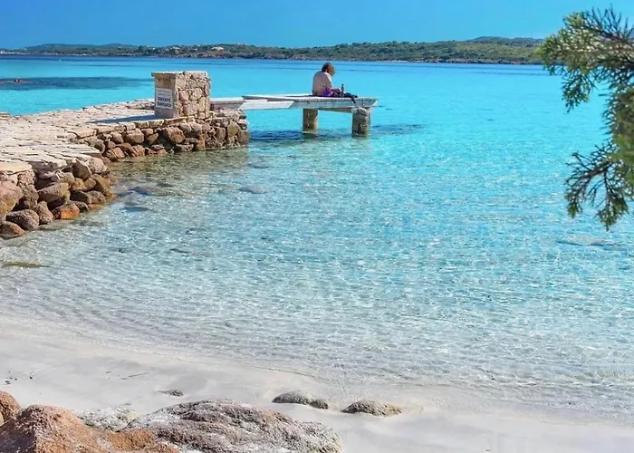 Seaside Elegance 50m From The *