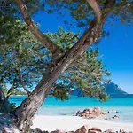 Seaside Elegance 50m From The *