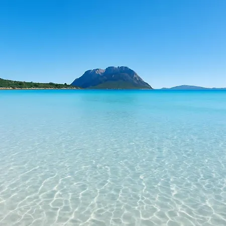 Seaside Elegance 50m From The *