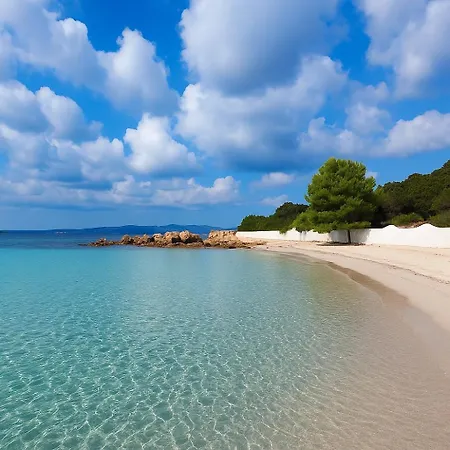 Ferienhaus Seaside Elegance 50m From The