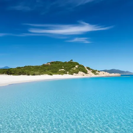 Seaside Elegance 50m From The * Olbia