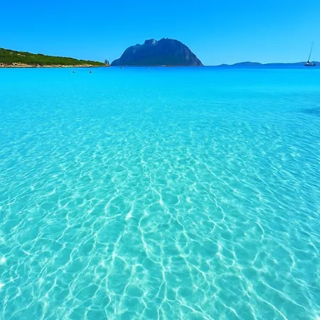 Seaside Elegance 50m From The Feriehus *