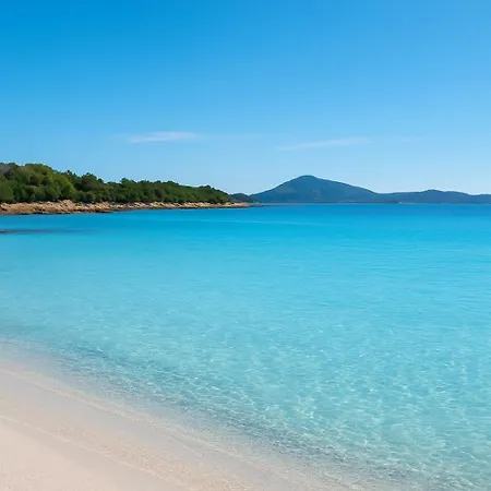 Seaside Elegance 50m From The