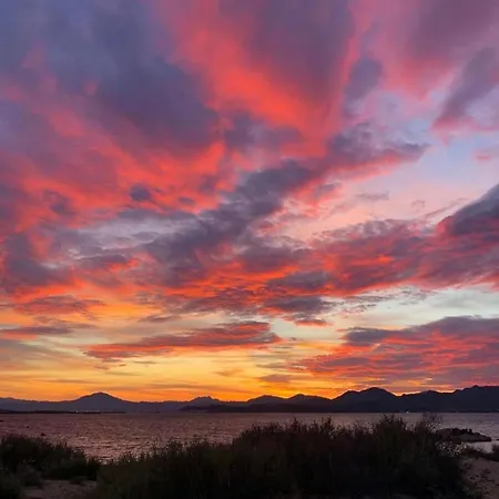 Seaside Elegance 50m From The * Olbia