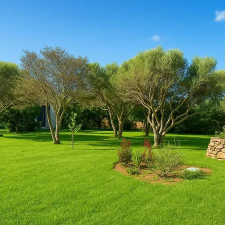 Seaside Elegance 50m From The Villa Olbia