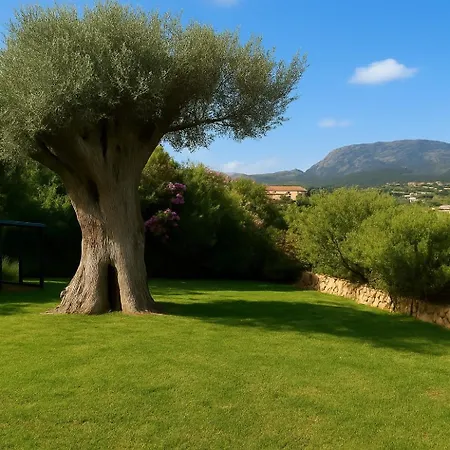 Seaside Elegance 50m From The Villa *