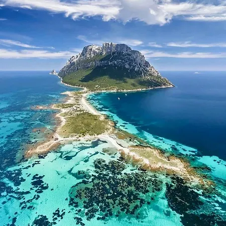 Feriehus Seaside Elegance 50m From The Olbia