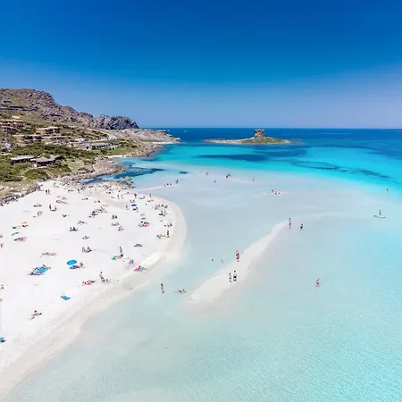 Seaside Elegance 50m From The Feriehus