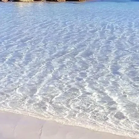 Villa Seaside Elegance 50m From The Olbia