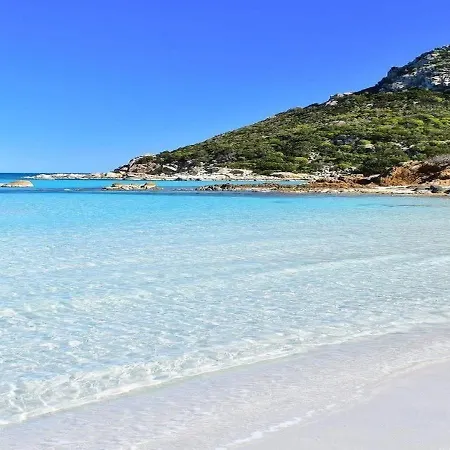 Seaside Elegance 50m From The Olbia