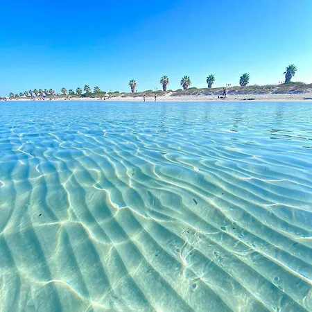 Seaside Elegance 50m From The Villa *