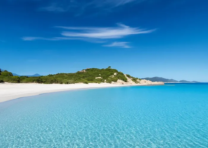 Seaside Elegance 50m From The * Olbia