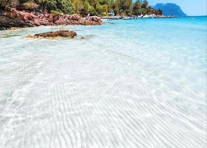 Seaside Elegance 50m From The