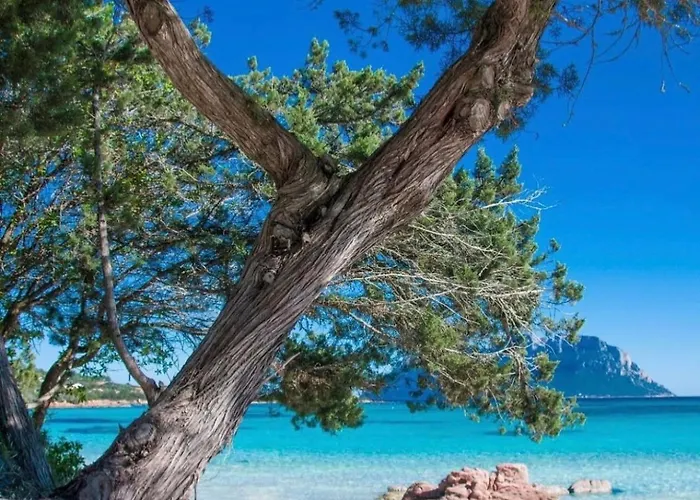 Seaside Elegance 50m From The *