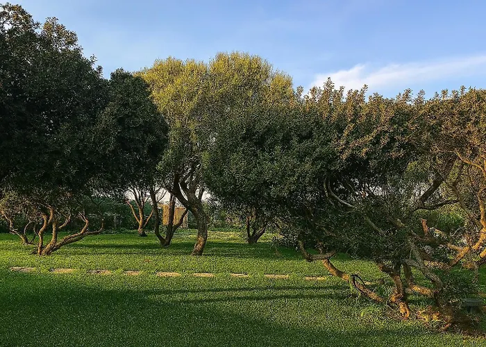 Seaside Elegance 50m From The Olbia