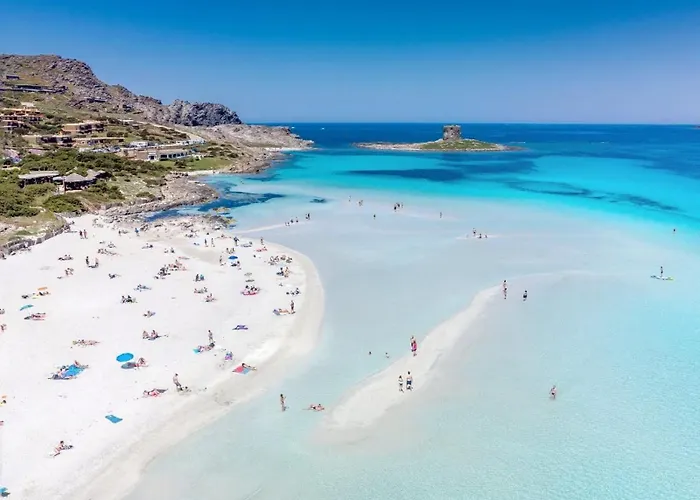 Seaside Elegance 50m From The Hébergement de vacances