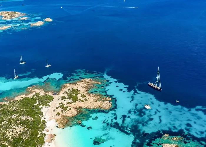 Seaside Elegance 50m From The Olbia